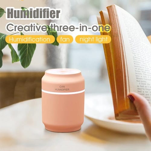 Multi-function Cool Mist Humidifier