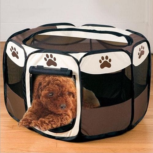 Portable Pet Tent