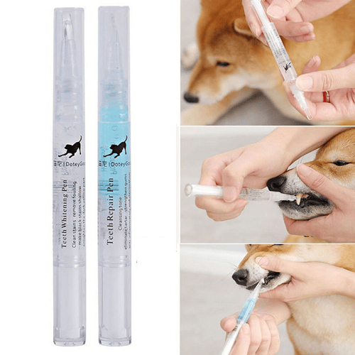Pet Dog/Cat Teeth Cleaning Pen