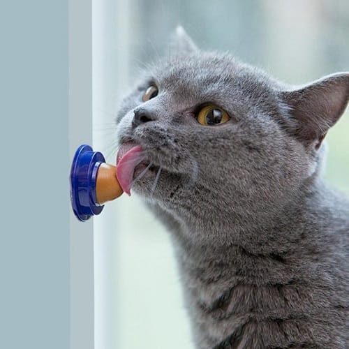 Cat & Kitten Healthy Treat 7pcs