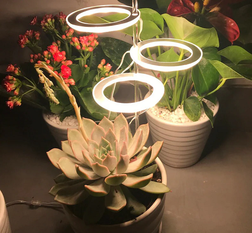 Grow Lights for Indoor Plants-3 Heads